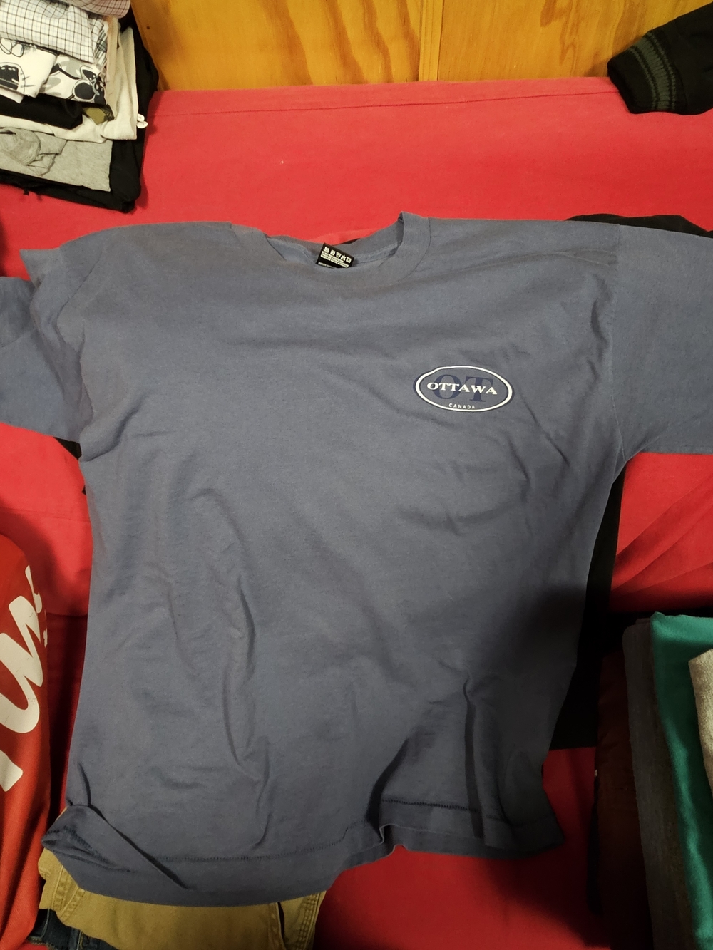 Vintage Fruit Of The Loom '93 Ottawa Graphic Tee - Blue
